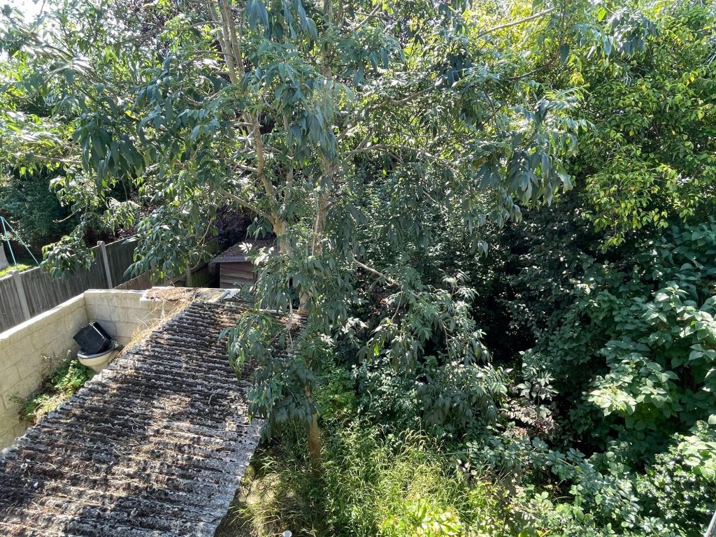 Lot: 11 - SEMI-DETACHED HOUSE FOR IMPROVEMENT AND REPAIR - Overgrown rear garden